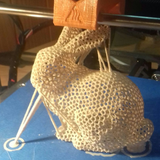 Capture d’écran 2017-05-05 à 16.58.18.png Bunny Voronoi - with support. Rabbit Voronoi with support